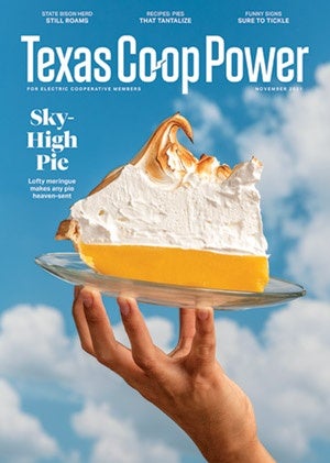 Texas Co-op Power November Issue