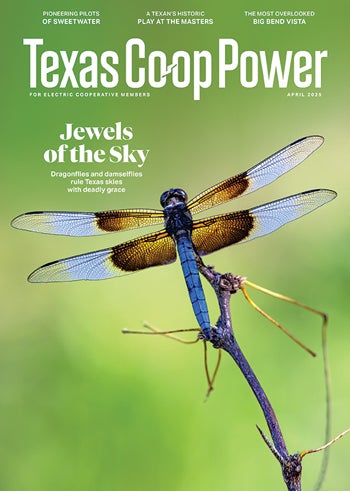 April 2025 Texas Coop Power Cover